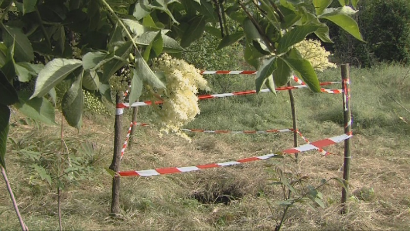 12-годишно момиче оцеля по чудо, но е в тежко състояние,