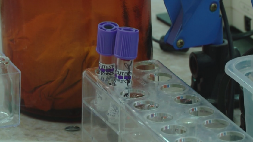 И днес броят на заразените с коронавирус е под 1%