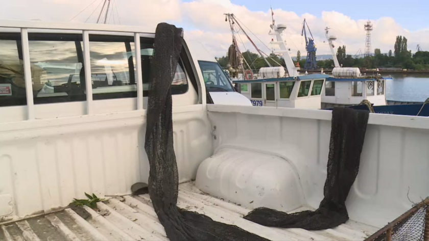 Близо 3 км бракониерски мрежи за улов на калкан са извадили от морето край Варна за месец