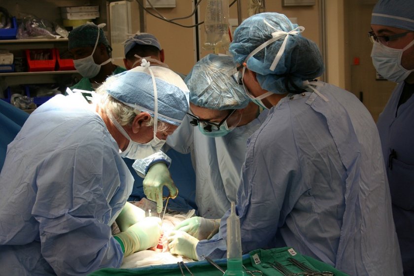 предлагат създаване експертни съвети трансплантациите
