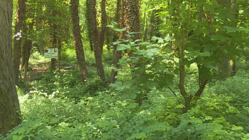 Зрители от Благоевград подадоха сигнал за наличието на много кърлежи