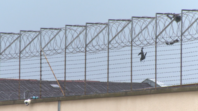 Хляб по 5 лева се продава в мигрантския център в