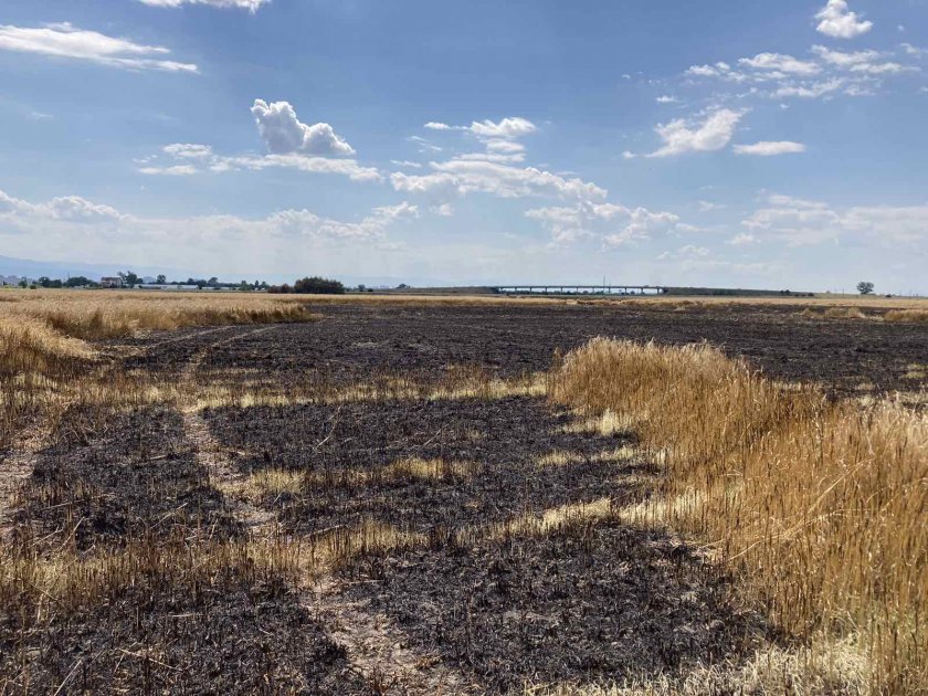 Голям пожар в Пловдивско (СНИМКИ)