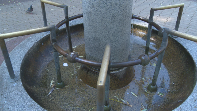 В горещото време все повече се нуждаем от вода и