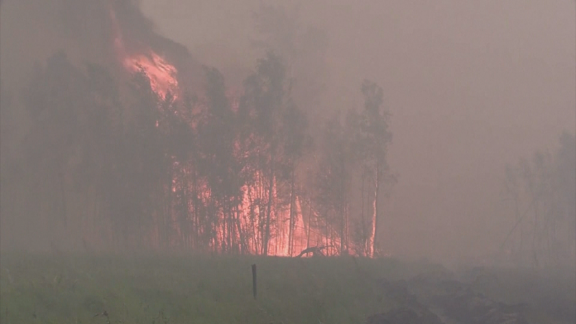 Мащабни горски пожари в Сибир. Според последните данни на руското
