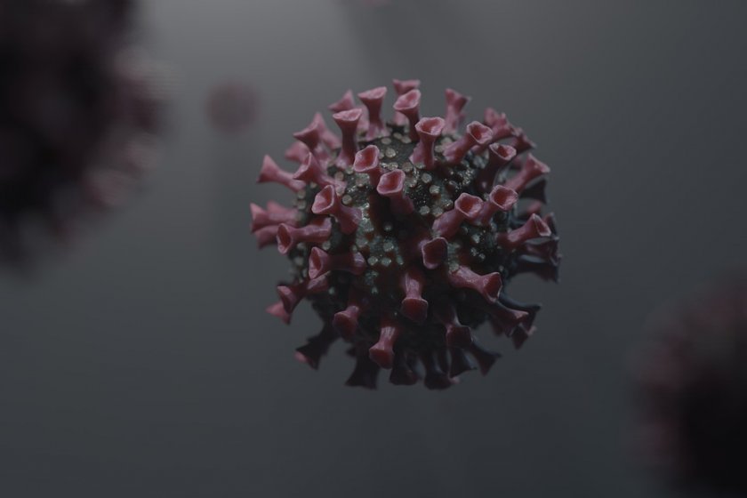 Нов вариант на коронавируса е регистриран в Южна Америка. Наречен