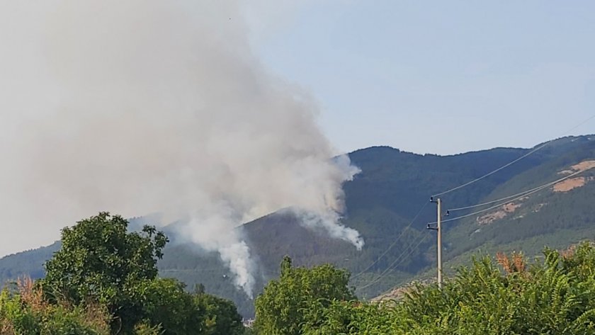 Голям пожар гори в борова гора в района на Твърдица.В