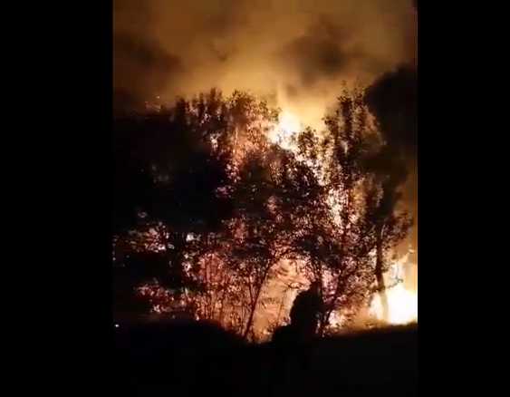 Вече втори ден горят борови гори и сухи треви над