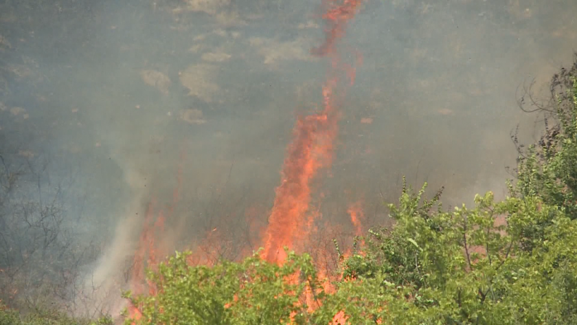 Пожарът в района на благоевградското село Бучино е овладян. Огнената