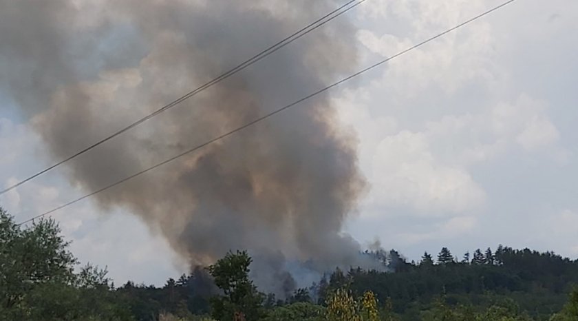 Голям пожар в боров масив над с. Виден, община Павел
