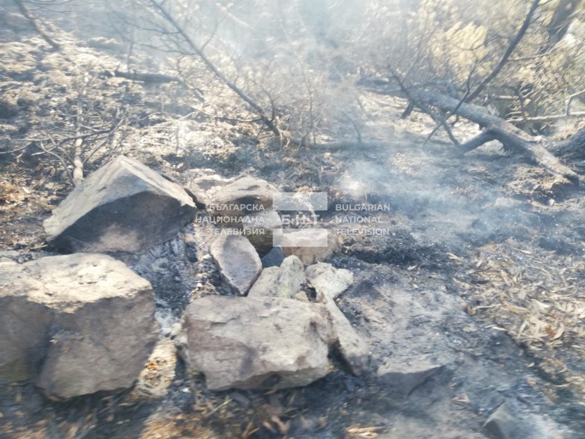 Пожарът в Рила планина е овладян, но борбата за пълното