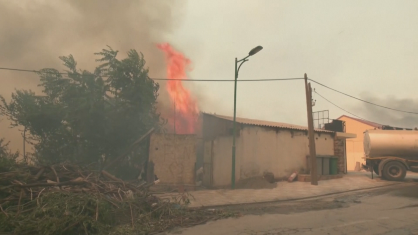 42-ма души са загинали при горски пожари в Алжир.От тях
