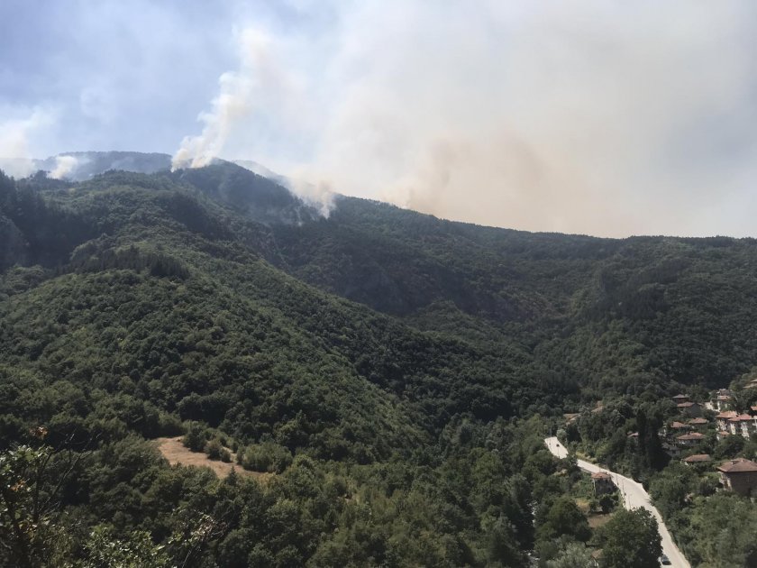 Горският пожар над Югово все още не е овладян