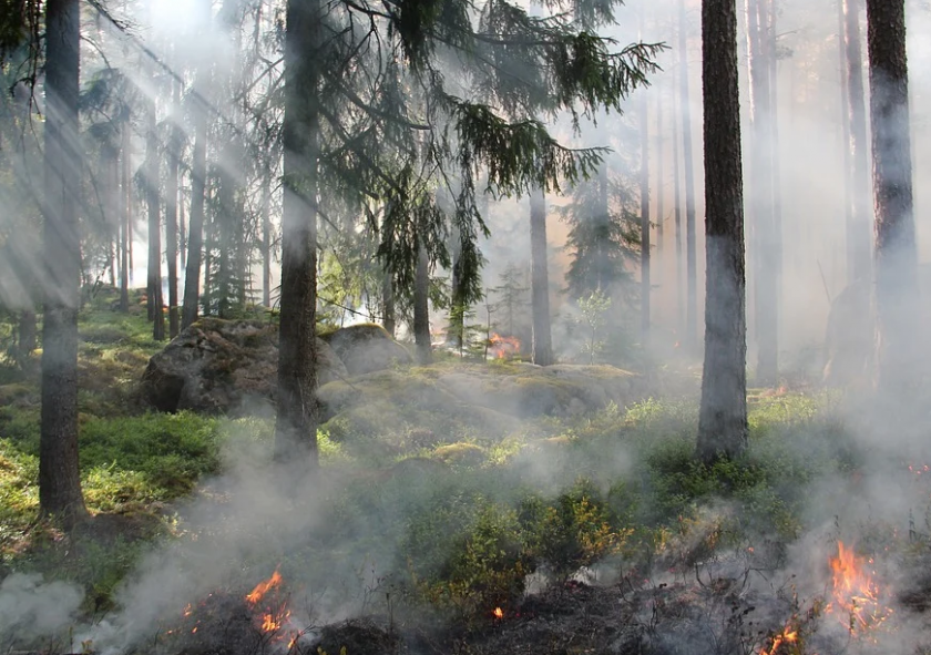 голям горски пожар застрашава столицата черна гора