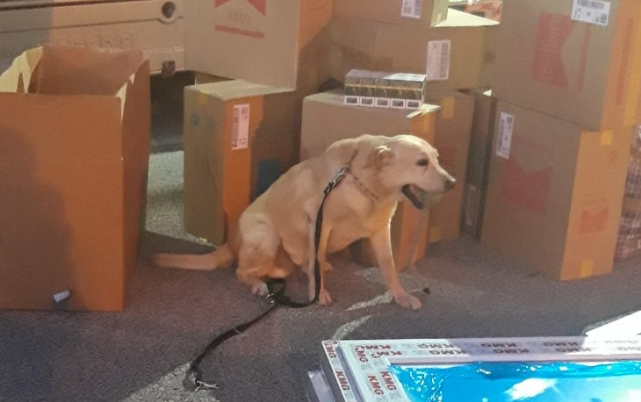 митническо куче надуши 6000 кутии цигари скрити палети дограма франция