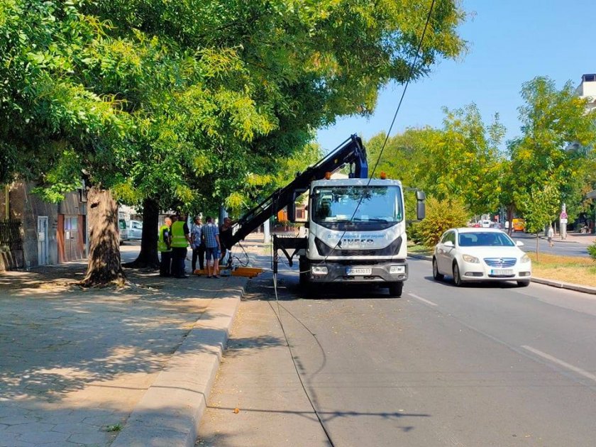 Инцидент с общинския паяк за репатриране в Пловдив – високата