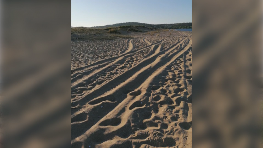 АТВ-та разрушават пясъчните дюни на Шофьорския плаж край Созопол. За