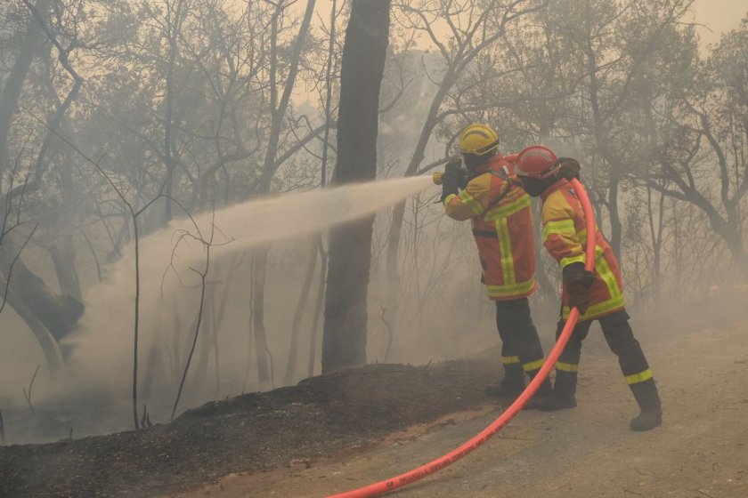 Двама души загинаха в мащабни горски пожари в Южна Франция.
