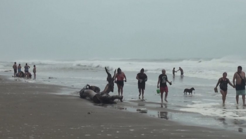Ураганът Грейс бушува в Мексиканския залив. Скоростта на бурата от