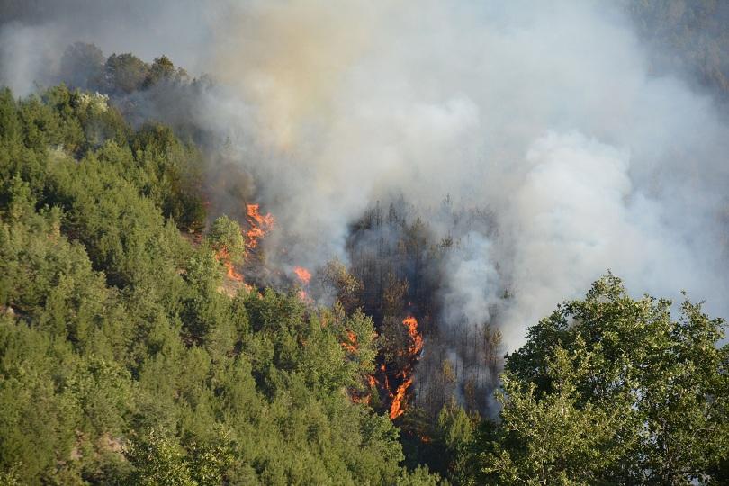 започва информационна кампания превенция горските пожари