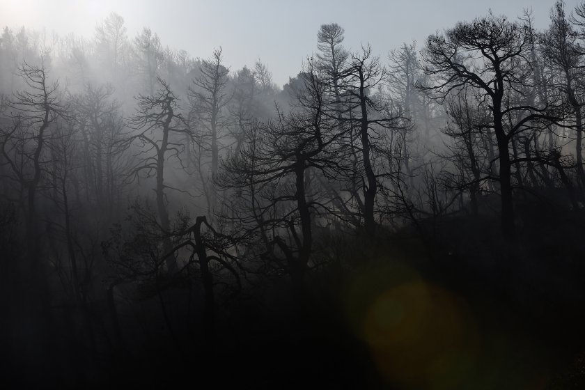 Нов пожар избухна на Света гора в скалиста местност близо