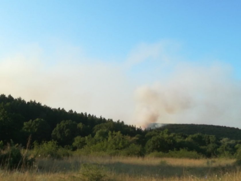 Пожар лумна този следобед между селата Старово и Самодива в