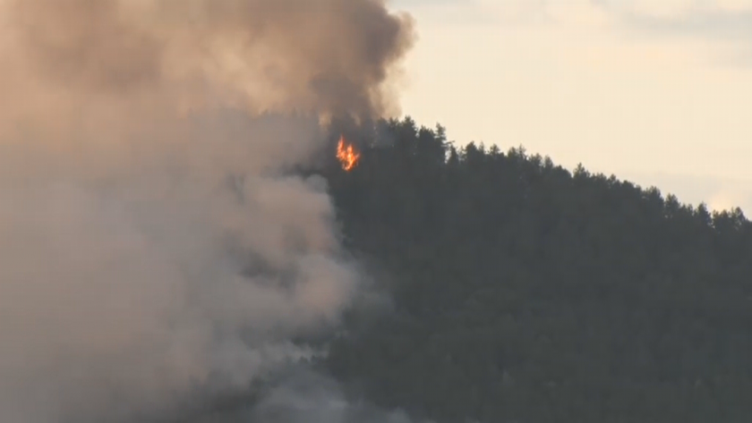 Горски пожар избухна в Кирковско