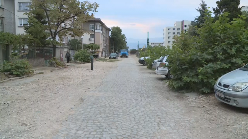 По зрителски сигнал: Кой отсече 14 здрави дървета в пловдивския Район Западен?