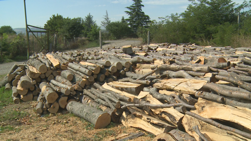 40 хиляди кубика дърва са продадени в Благоевградско до началото