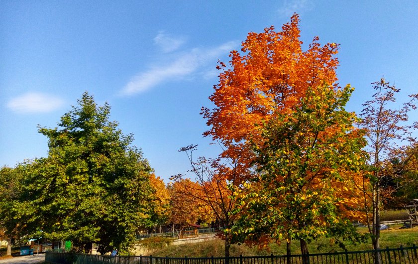 По-топло ще бъде днес, в сравнение с вчера. Максималните температури