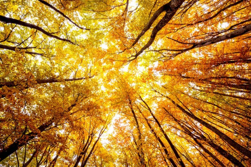 Максималните температури в последния ден от работната седмица ще бъдат