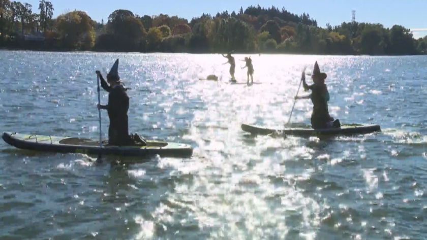 Днес е Хелоуин - денят на тиквените фенери, вещиците и