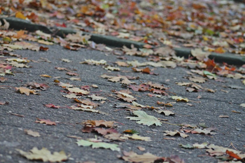 Много слънчеви часове в съботния ден