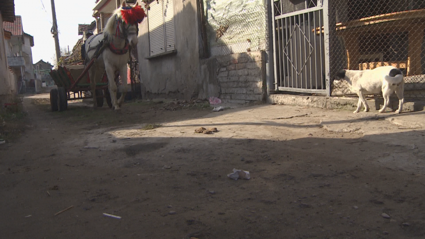 Стотици несъществуващи адреси са в обхвата на избирателни секции във