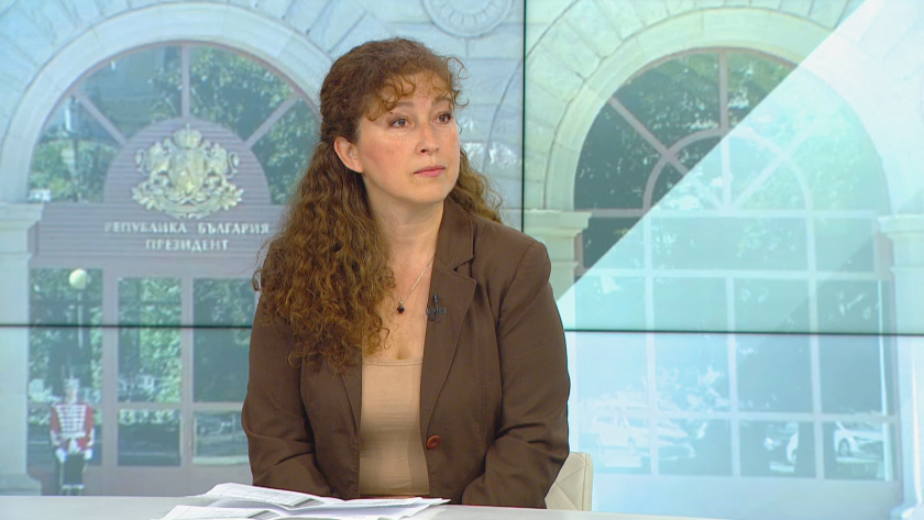 Ваня Нушева, "Прозрачност без граници": Внушенията за изборни фалшификации не са се оправдали