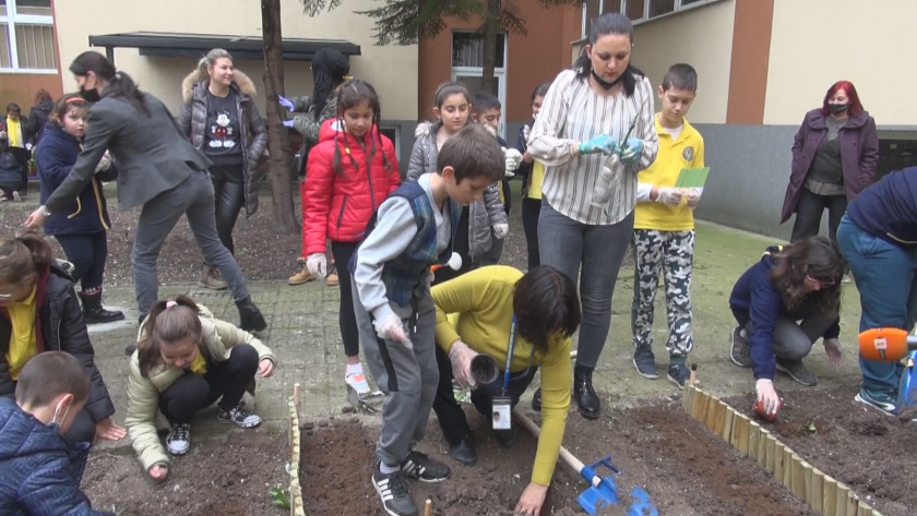 Ученици от Бургас се учат как да садят билки и