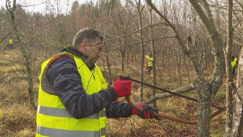 Доброволци се включиха в почистването на Дендрариума в Странджа планина.Идеята