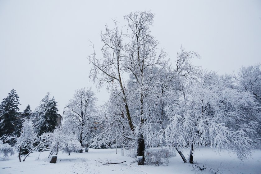 Зимата напомни за себе си в последния ден от ноември.