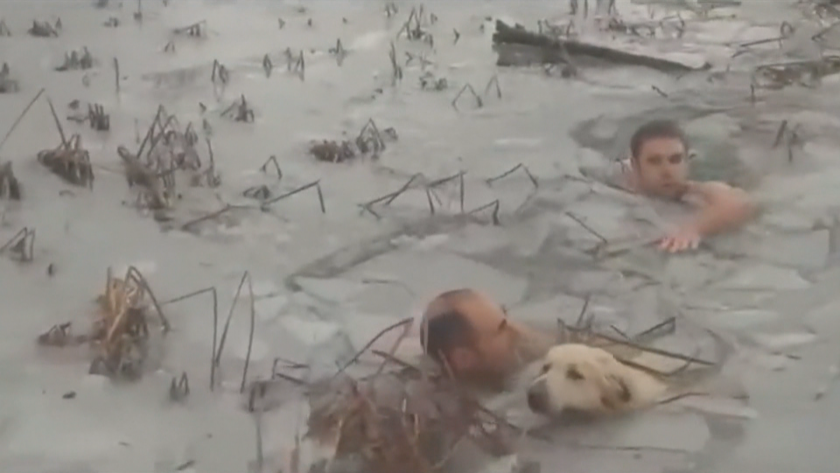 В Испания полицаи спасиха куче от замръзнало езеро. Драматичните сцени