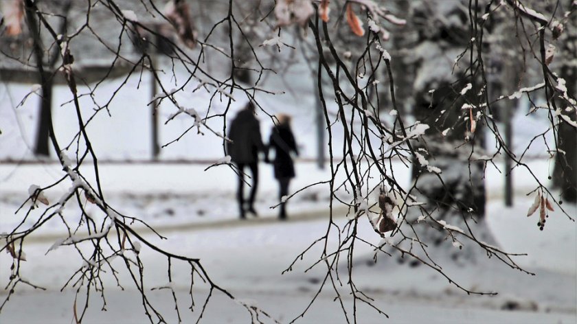 Жълт код за силен вятър е обявен в 16 области