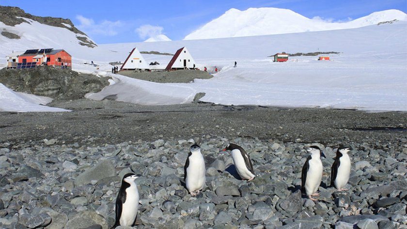 антарктиците пристигнаха ливингстън полярният сезон открит