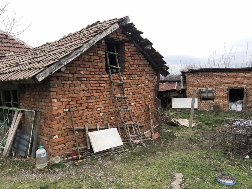 Жестоко престъпление в плевенското село Лазарово. Задържаха 22-годишна жена за