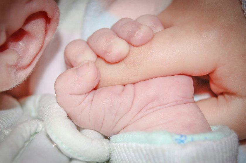 около 6000 недоносени бебета раждат нас всяка година
