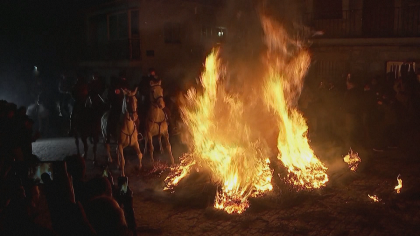 В навечерието на деня на Свети Антоний в Испания отбелязаха