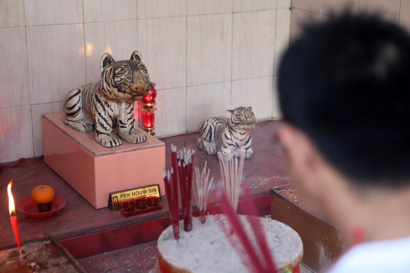В Китай посрещат годината на Черния воден тигър