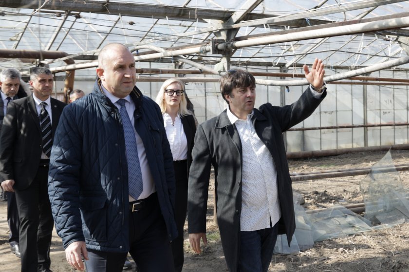 Президентът поиска от правителството спешни мерки за справяне с енергийната криза