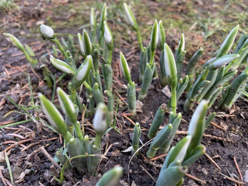 Слънчево време и затопляне в петък