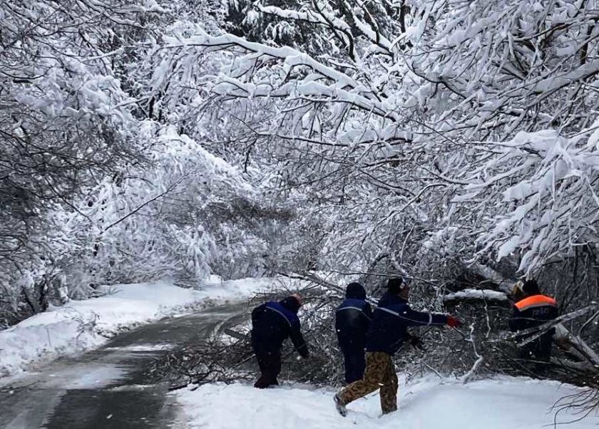 четири екипа разчистват паднали дървета пътя черноочене ndash асеновград ардино кърджали