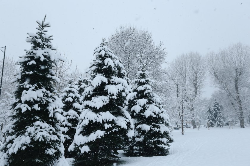 усложнена обстановката община родопи заради падналия сняг