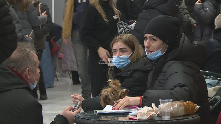 Близо 8 000 души, пристигнали от Украйна, са потърсили помощ
